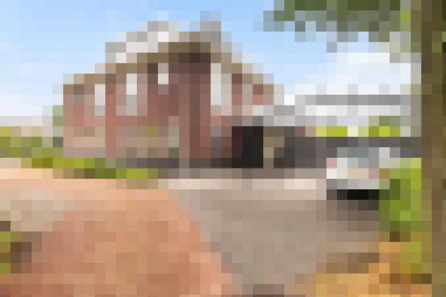 Laakboulevard 336 Amersfoort thumbnail 11
