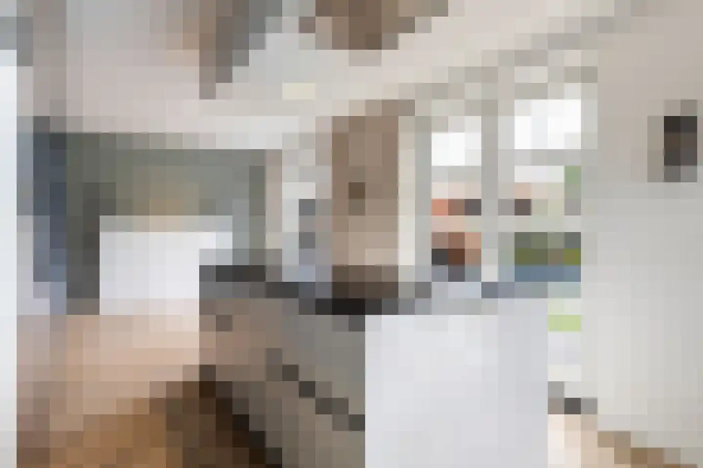 Laakboulevard 336 Amersfoort thumbnail 20