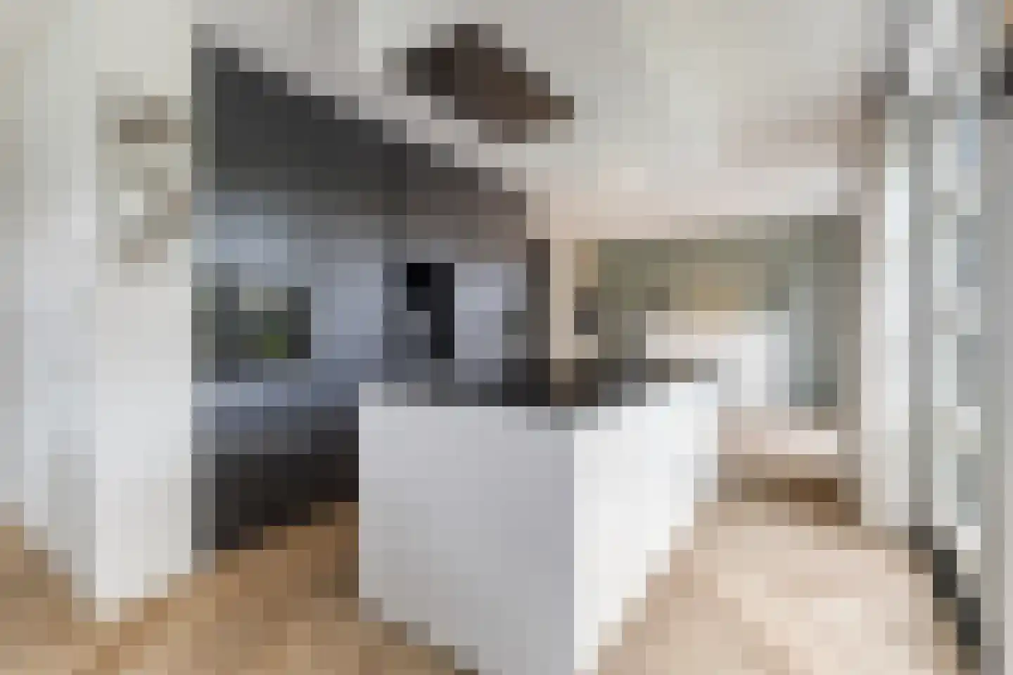 Laakboulevard 336 Amersfoort thumbnail 21