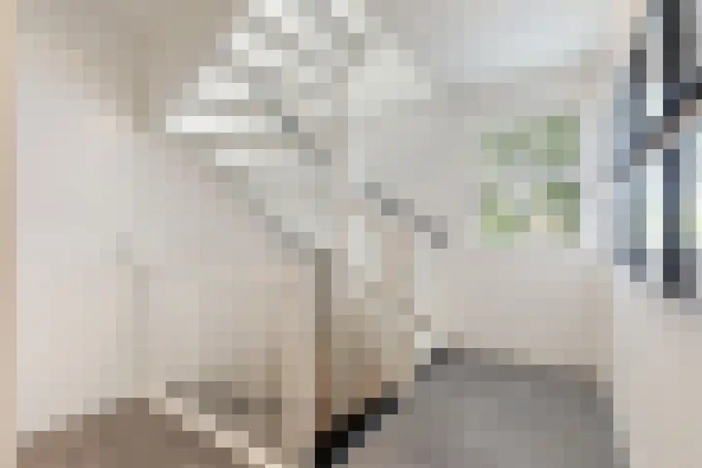 Laakboulevard 336 Amersfoort thumbnail 28