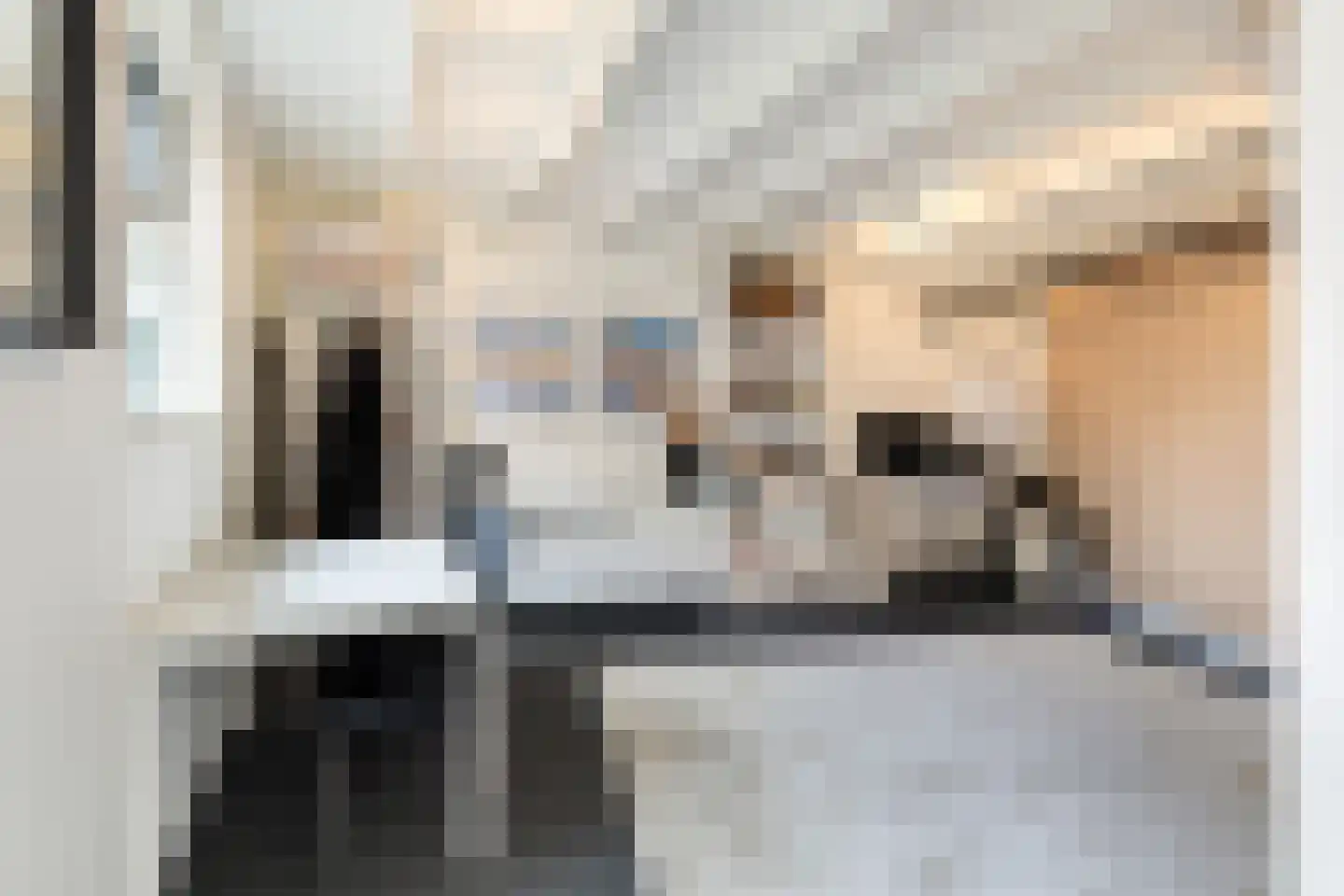 Laakboulevard 336 Amersfoort thumbnail 47