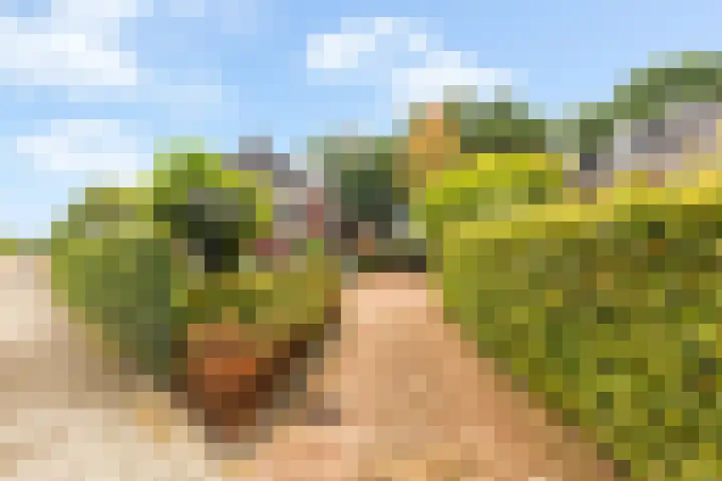 Laakboulevard 336 Amersfoort thumbnail 8