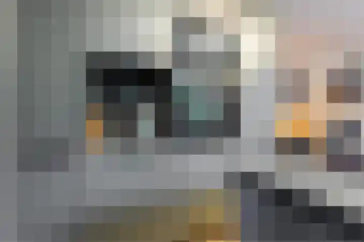 Laakboulevard 72 Amersfoort thumbnail 16