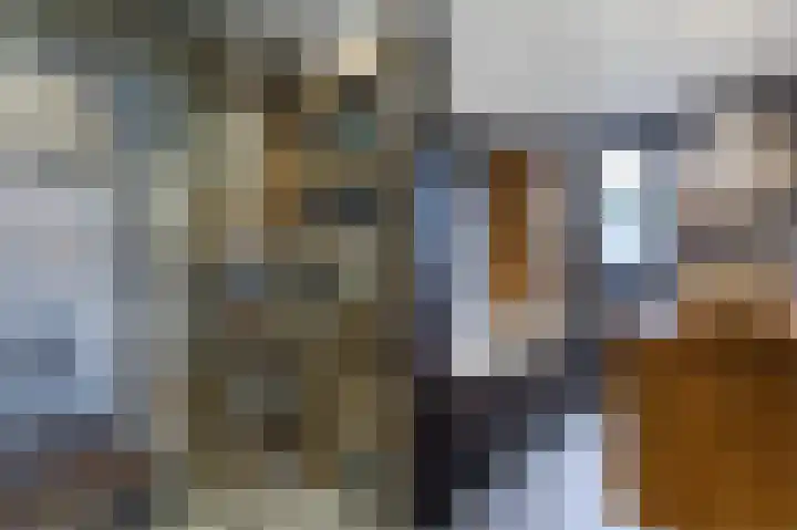 Laakboulevard 72 Amersfoort thumbnail 36