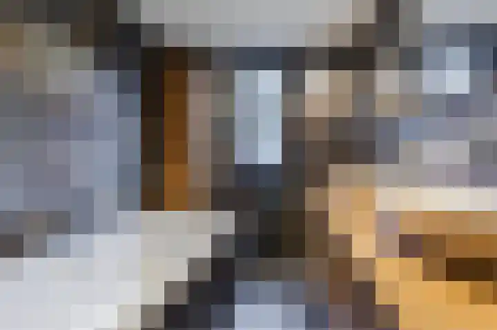 Laakboulevard 72 Amersfoort thumbnail 37