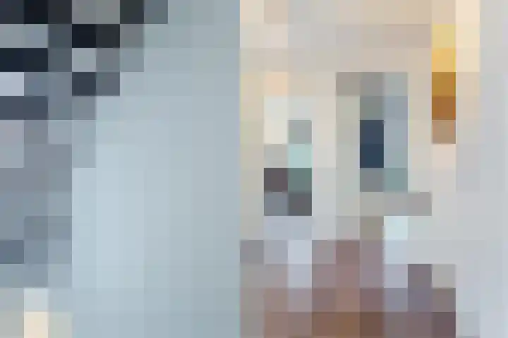 Laakboulevard 72 Amersfoort thumbnail 43