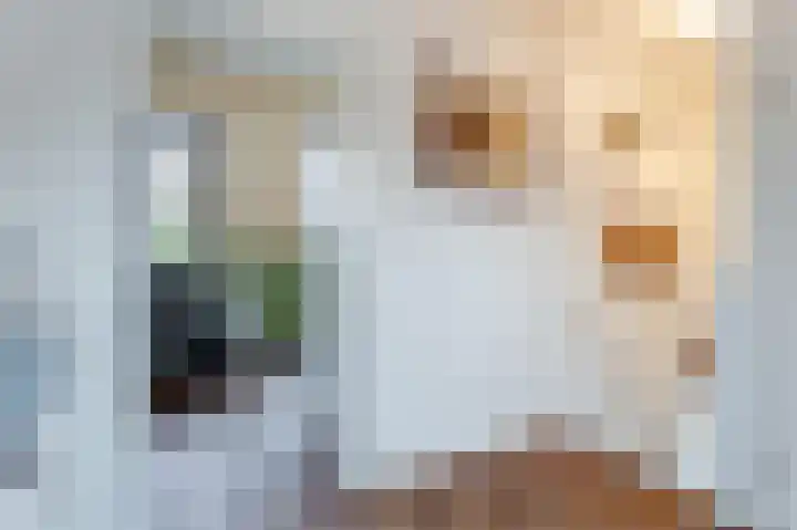 Laakboulevard 72 Amersfoort thumbnail 51