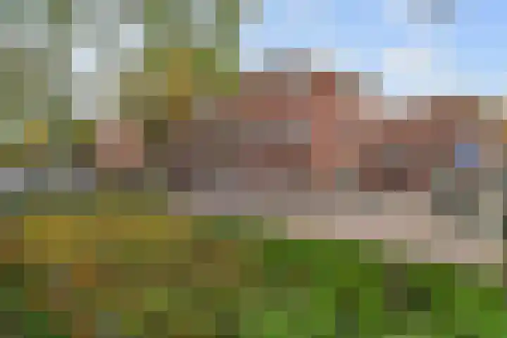 Laakkade 253 Den Haag thumbnail 33