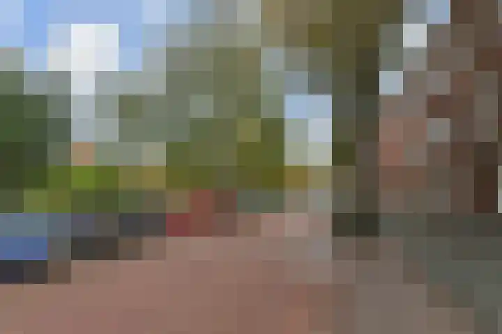 Laakkade 253 Den Haag thumbnail 34