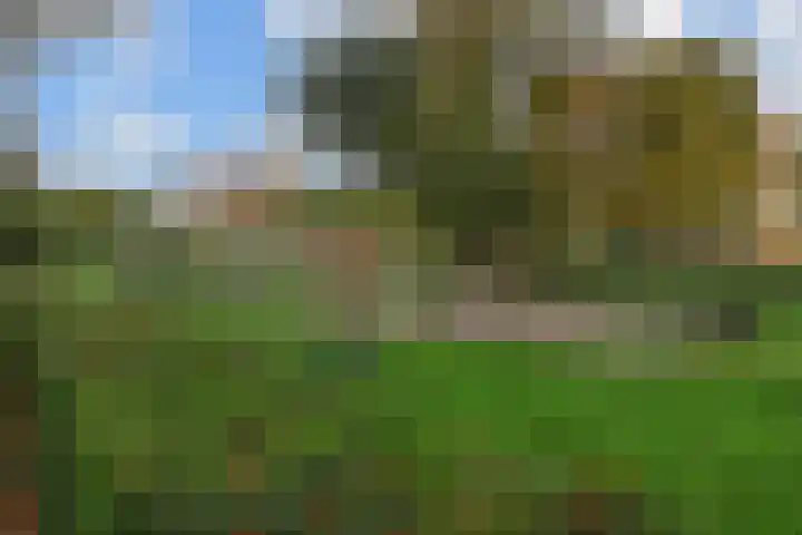 Laakkade 253 Den Haag thumbnail 36