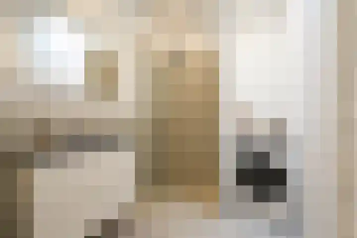 Laakkade 365 Den Haag thumbnail 16
