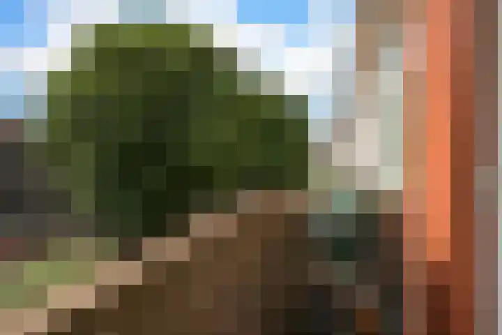 Laakkade 365 Den Haag thumbnail 24
