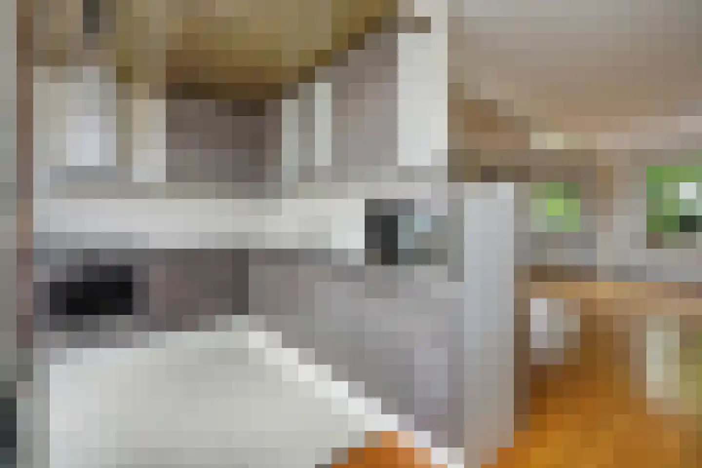 Laakkade 416 Den Haag thumbnail 4