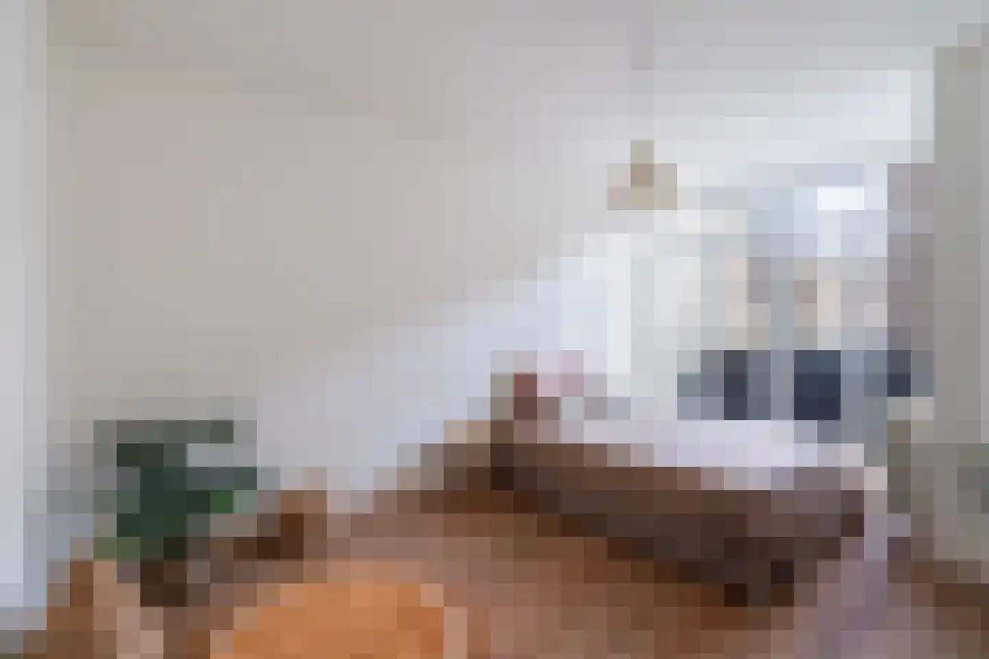 Laakkade 432 Den Haag thumbnail 11