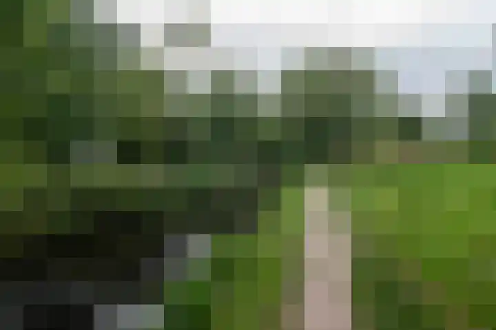 Laakkade 437 Den Haag thumbnail 6