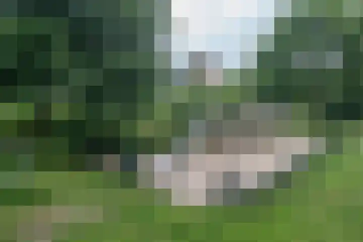 Laakkade 437 Den Haag thumbnail 7