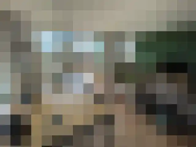 Laakoever 124 Arnhem thumbnail 4