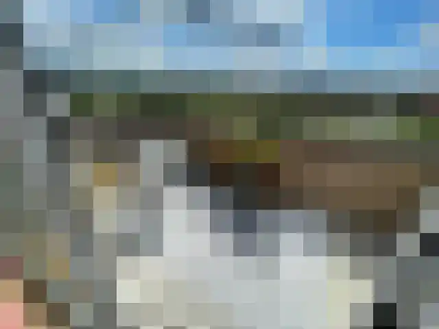 Laakoever 124 Arnhem thumbnail 5