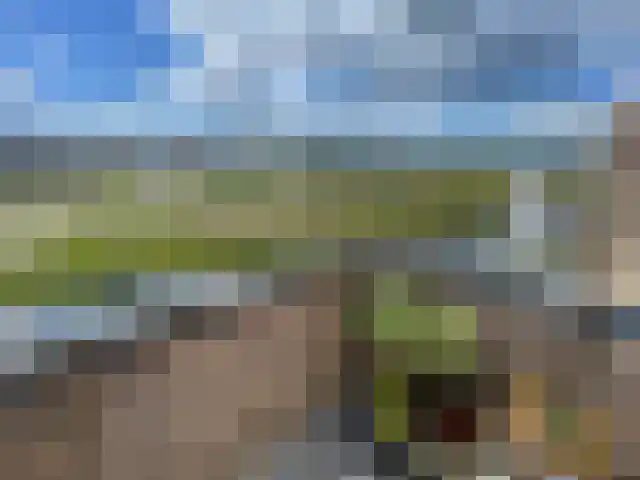 Laakoever 124 Arnhem thumbnail 6