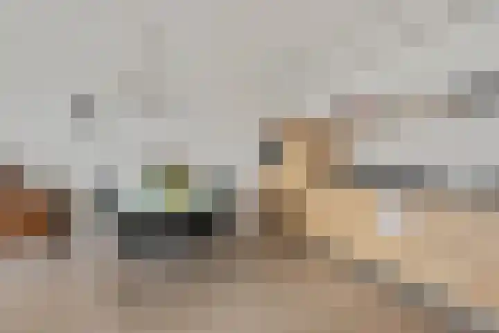Laakoever 232 Arnhem thumbnail 13