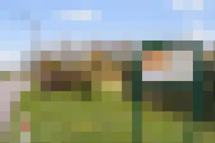 Laakoever 232 Arnhem thumbnail 28