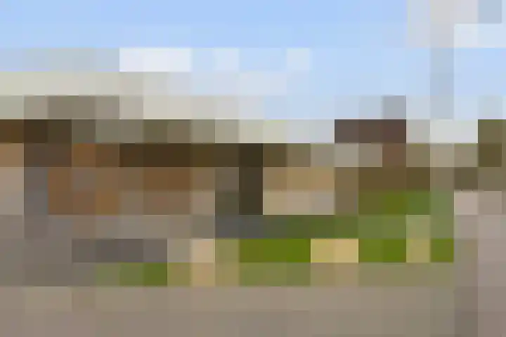 Laakoever 232 Arnhem thumbnail 30