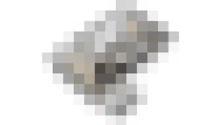 Laakoever 232 Arnhem thumbnail 35