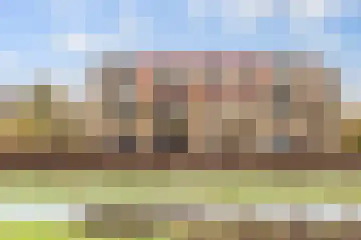 Laakoever 232 Arnhem thumbnail 4