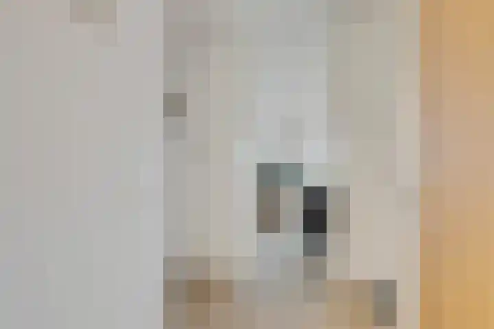 Laakoever 232 Arnhem thumbnail 5