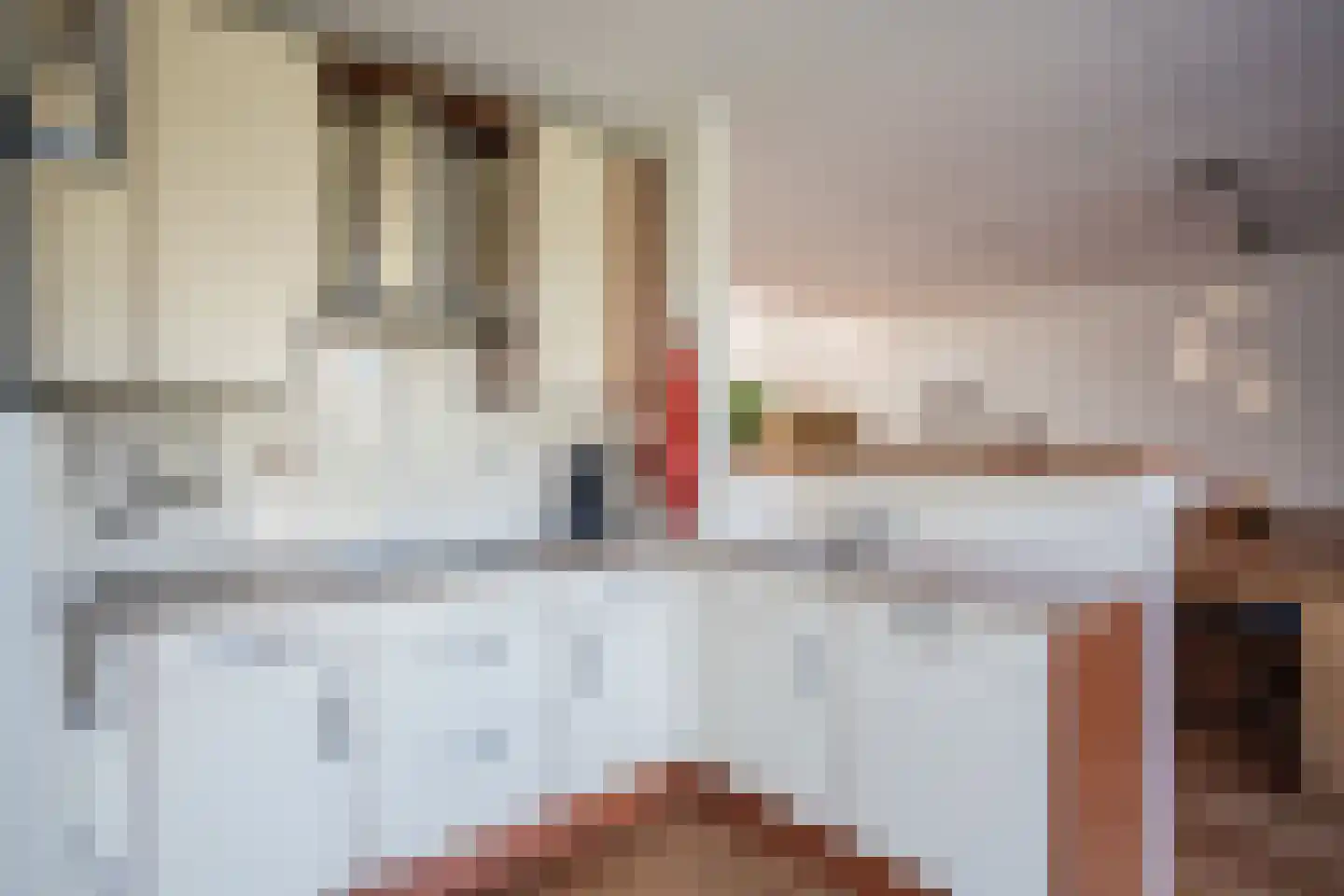 Laakse Dam 9 Zutphen thumbnail 13