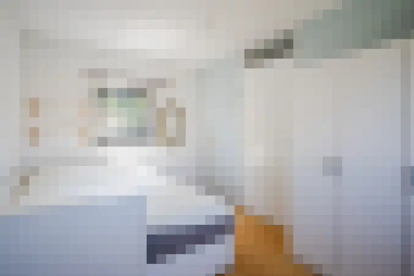 Laakse Dam 9 Zutphen thumbnail 30
