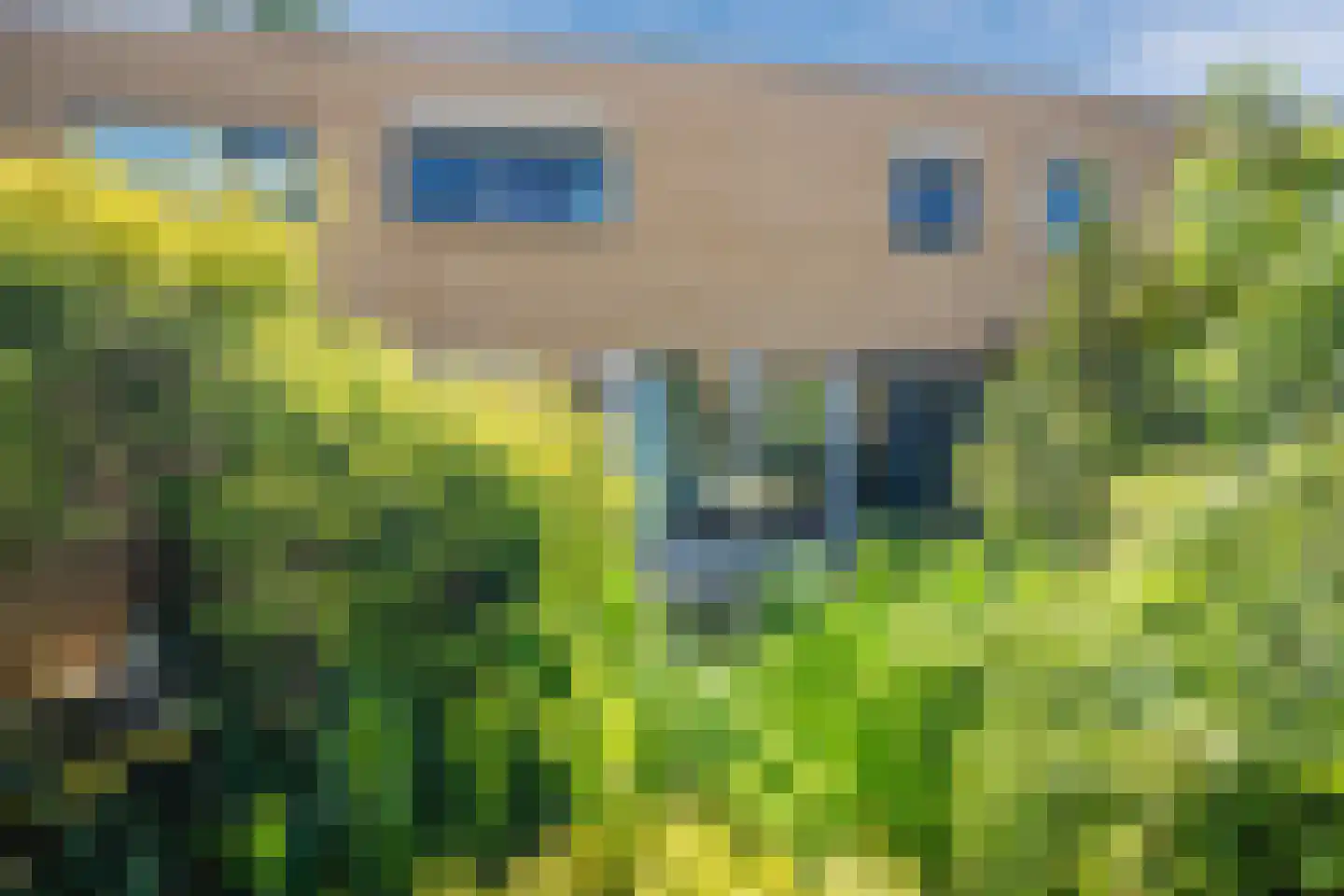 Laakse Dam 9 Zutphen thumbnail 41