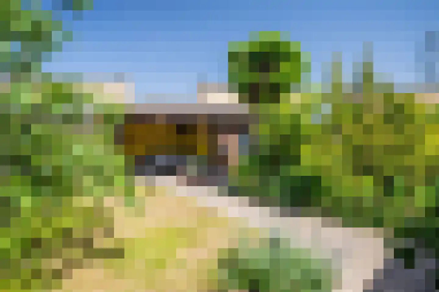 Laakse Dam 9 Zutphen thumbnail 46