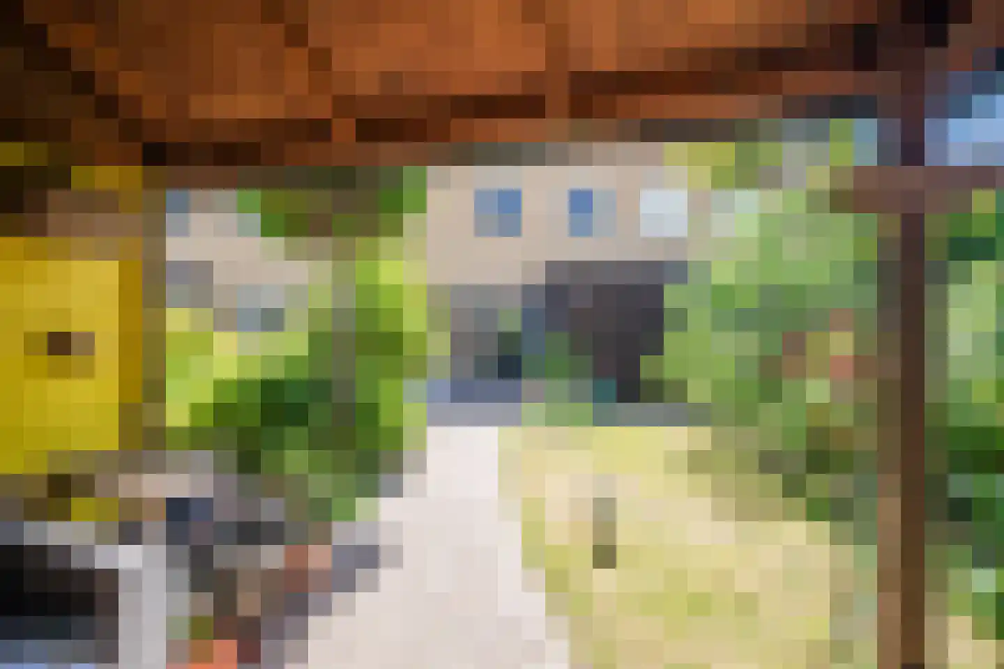 Laakse Dam 9 Zutphen thumbnail 49