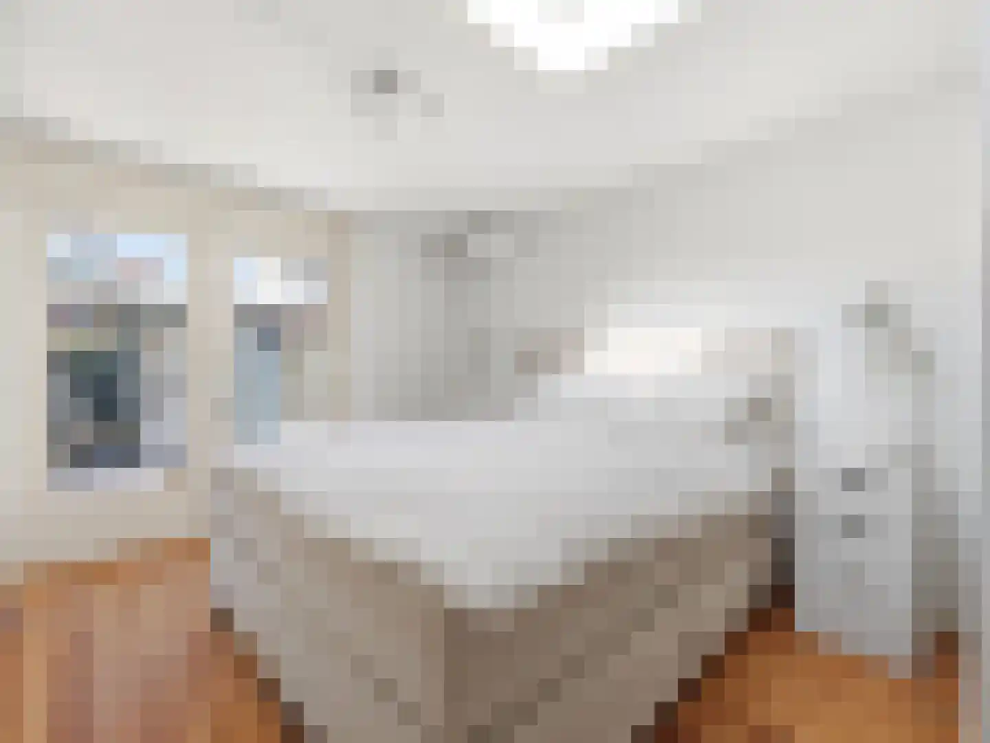 Laakse Hof 8 Zutphen thumbnail 21