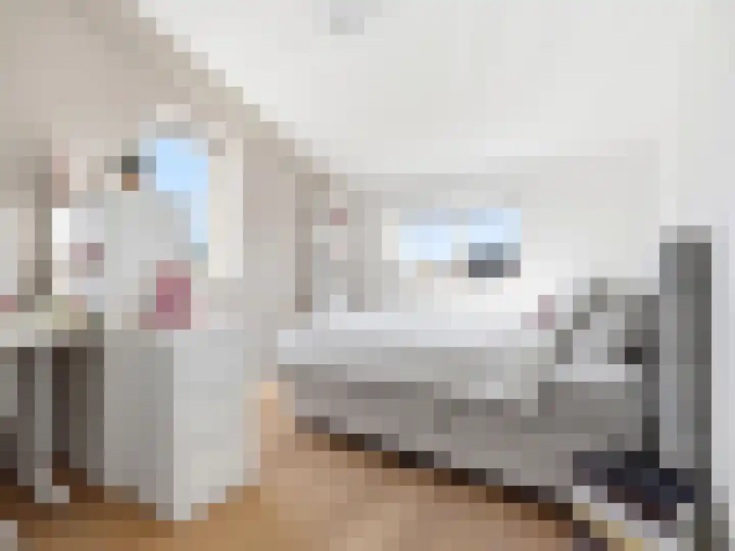 Laakse Hof 8 Zutphen thumbnail 28