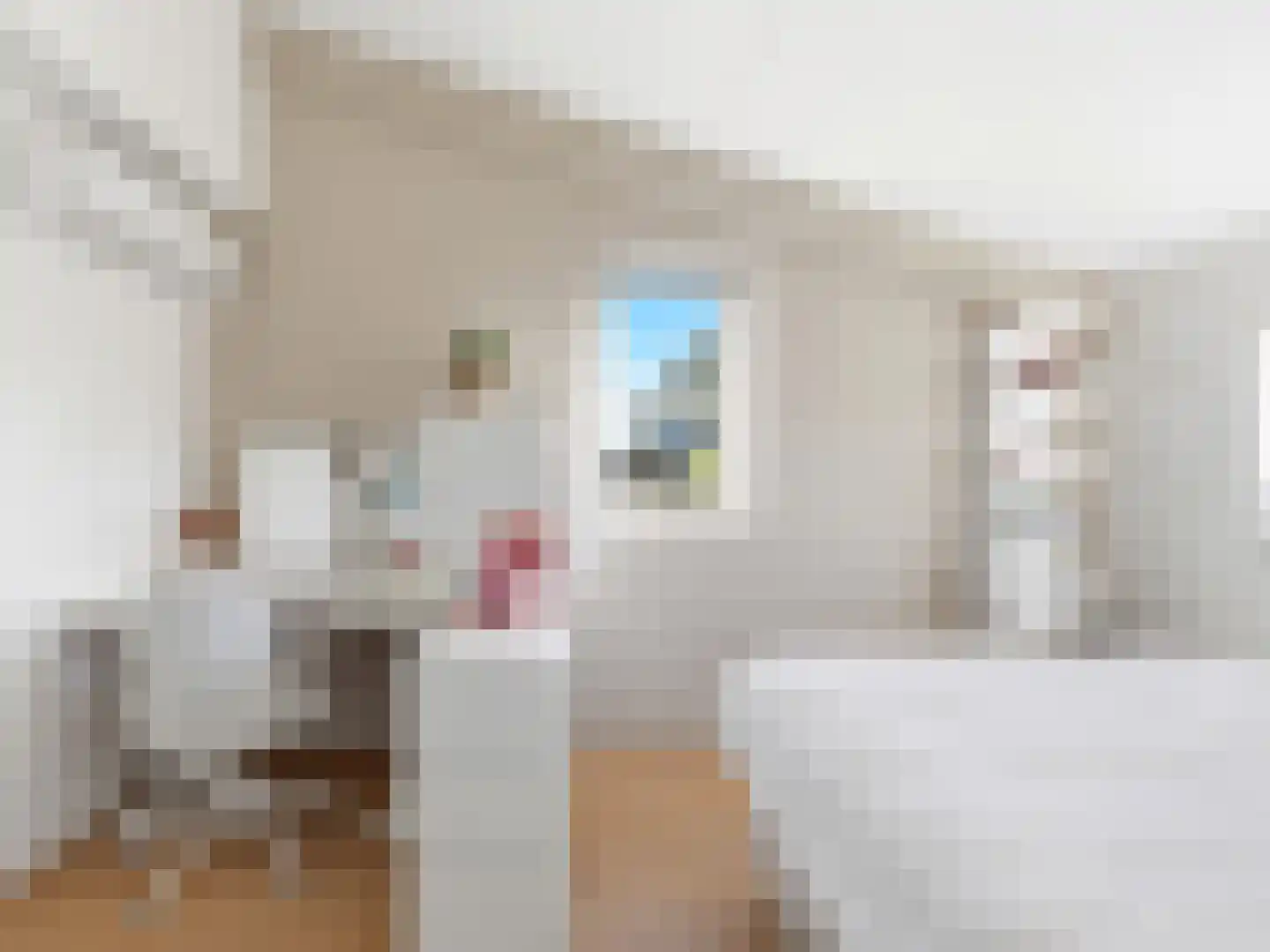 Laakse Hof 8 Zutphen thumbnail 29