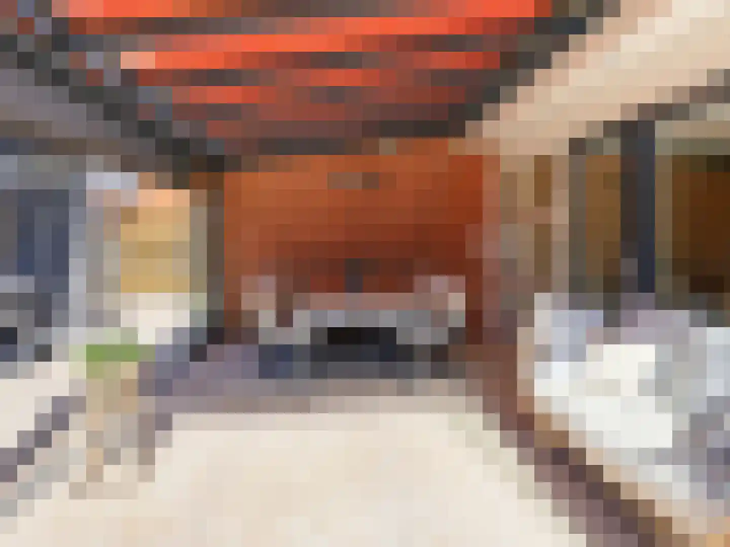 Laakse Hof 8 Zutphen thumbnail 51