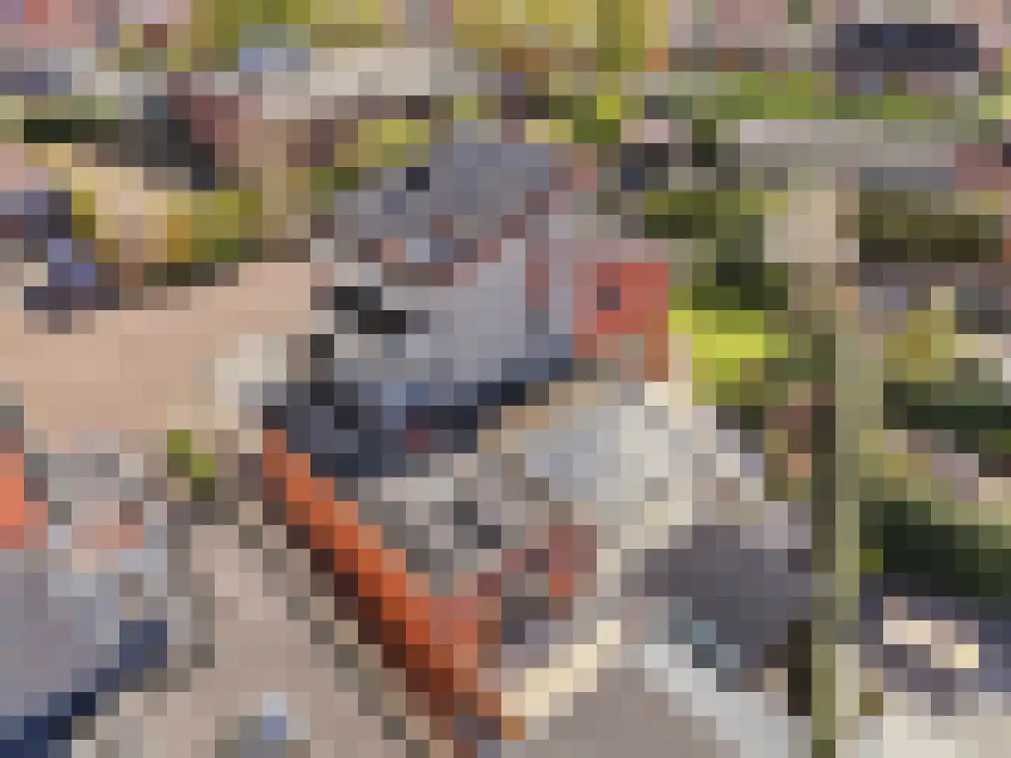 Laakse Hof 8 Zutphen thumbnail 56