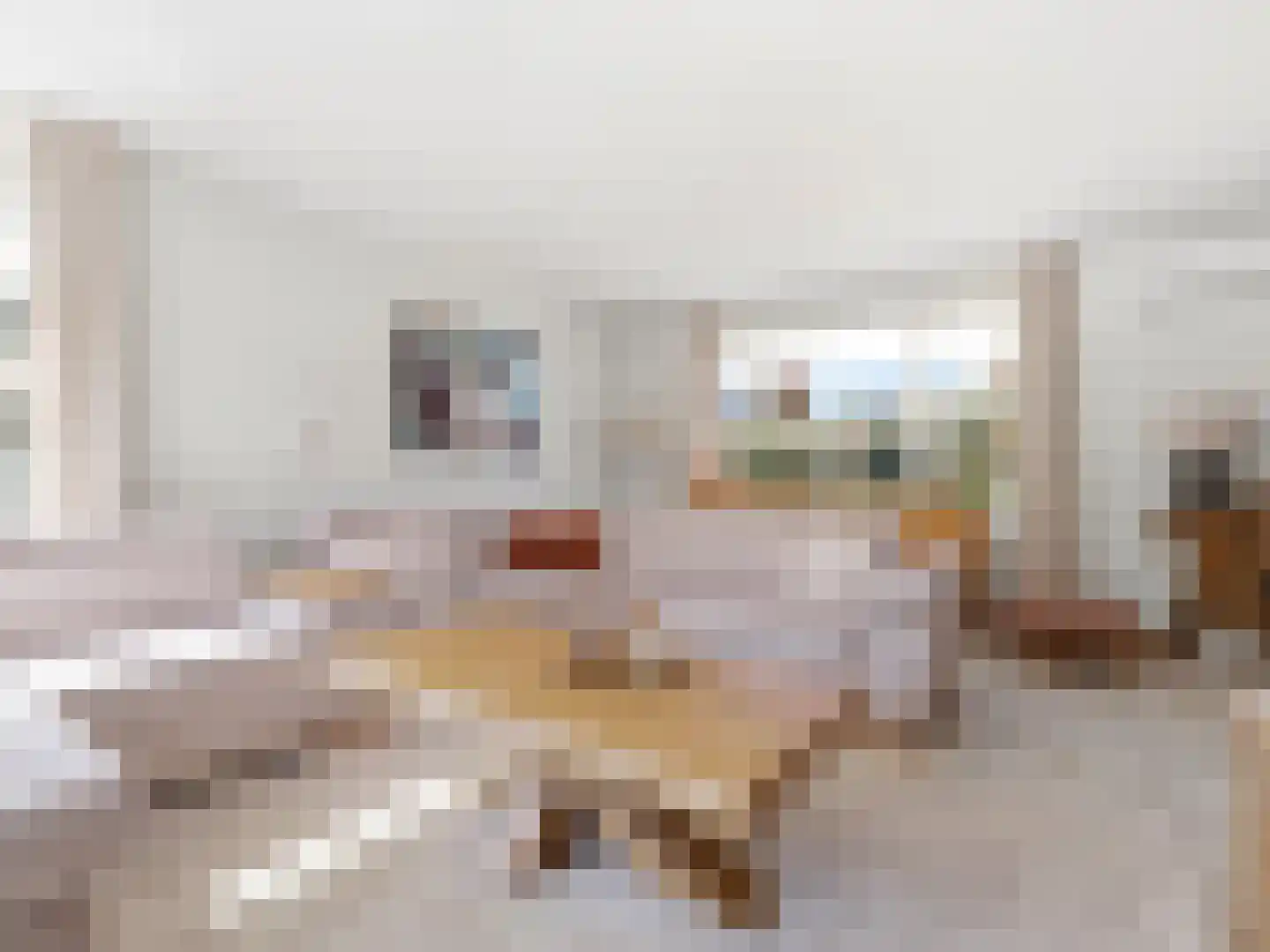 Laakse Hof 8 Zutphen thumbnail 6