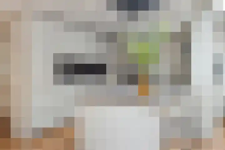 Laakse Laan 4 Zutphen thumbnail 12