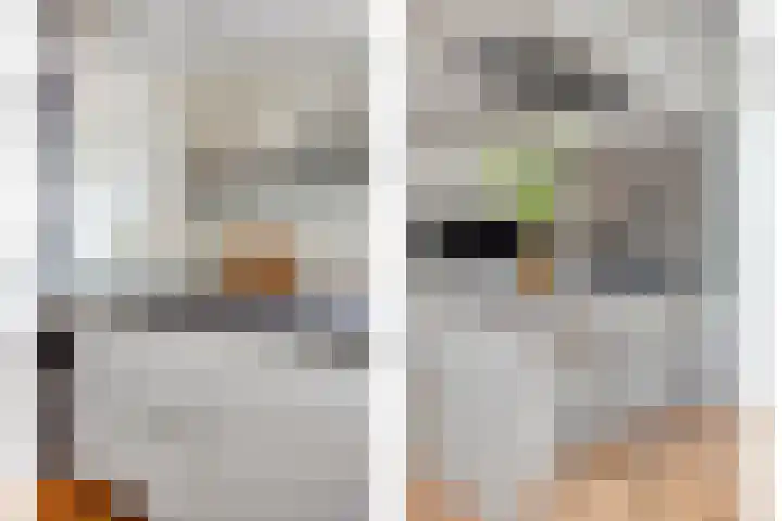 Laakse Laan 4 Zutphen thumbnail 13