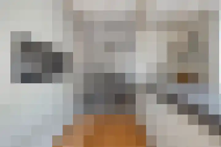 Laakse Laan 4 Zutphen thumbnail 14