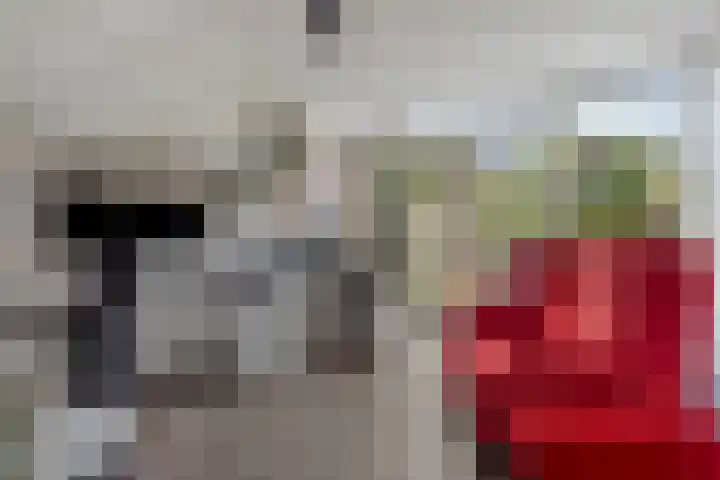 Laakse Laan 4 Zutphen thumbnail 18