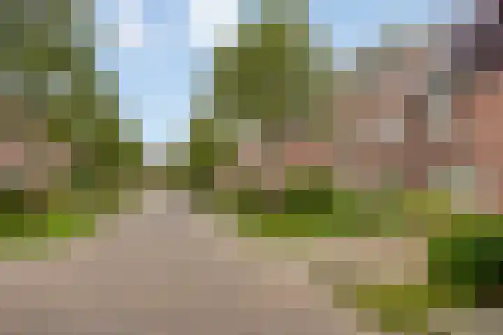 Laakse Laan 4 Zutphen foto 2