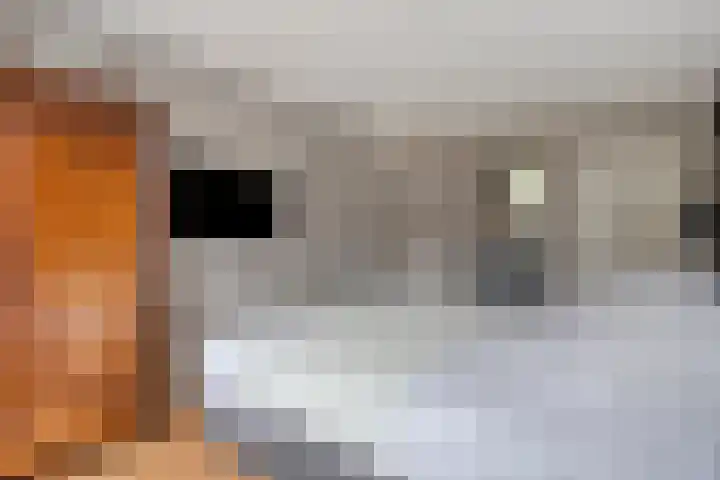 Laakse Laan 4 Zutphen thumbnail 21