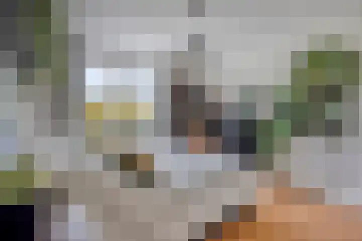 Laakse Laan 4 Zutphen thumbnail 22