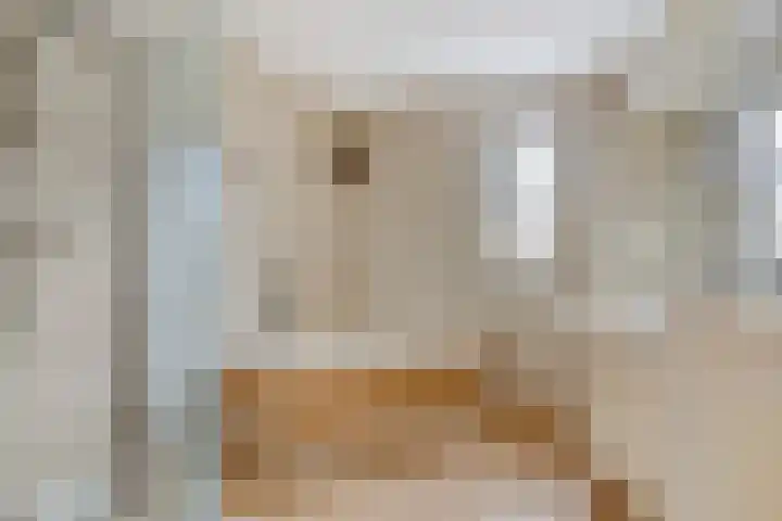 Laakse Laan 4 Zutphen thumbnail 25