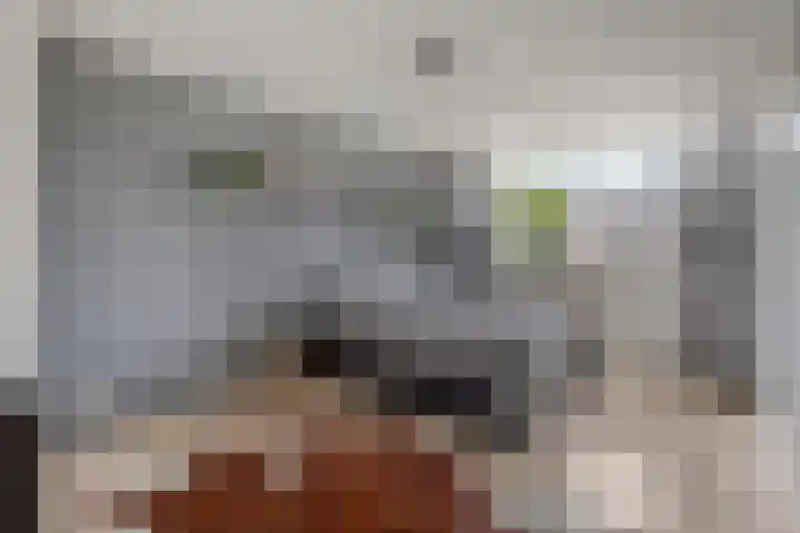 Laakse Laan 4 Zutphen thumbnail 31