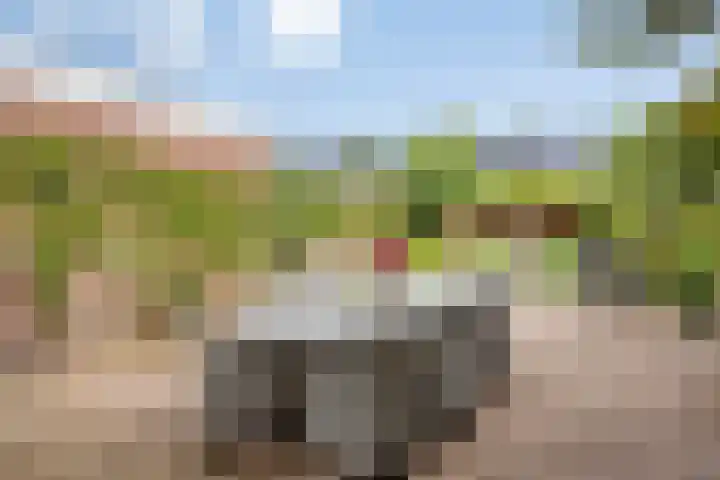 Laakse Laan 4 Zutphen thumbnail 35